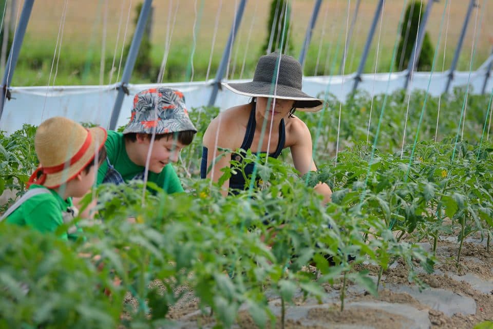 AgroStart — agro i ruralna turistička ponuda